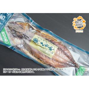 青むろアジくさや 冷凍便の詳細画像2