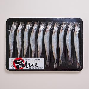 ししゃも 子持ちからふとししゃも GOLD | 業務仕入・見積なら食品卸売の
