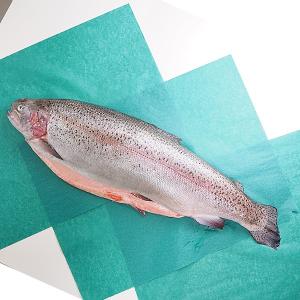 長野県産 アルプスサーモン 1尾 約2〜2.5kg前後 国産 サーモン 鮭 : 生鮮卸売市場 - 通販 - Yahoo!ショッピング 長野県産 アルプスサーモン 1 尾 約3～3.5kg前後 国産 サー モン 鮭 (3枚おろし)