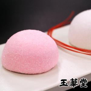 記念品・御祝いギフト 紅白饅頭 千寿の舞2個入...の詳細画像1