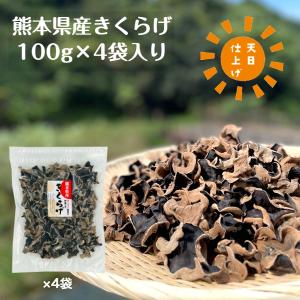 国産 きくらげ 熊本県産 100g 優良品 天日仕上げ 無農薬 乾燥