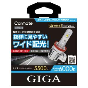 カーメイト（CARMATE） BW572 GIGA LEDヘッド&フォグバルブ C5500