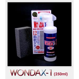 WONDAX-1/250ml ワンダックス ガラス質ボディ保護剤 これ一本でガラスコート！【新車やそれに近い車用】※大型車/1BOX1.5台分