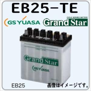 EB25-TE GS YUASA ジーエスユアサバッテリー サイクルバッテリー EB電池 法人限定 送料無料
