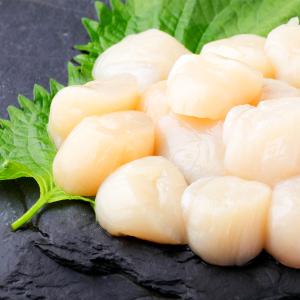 クーポンで最大15,000円OFF 超特大 北...の詳細画像2