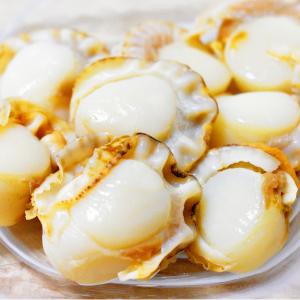 クーポンで最大15,000円OFF ベビーホタ...の詳細画像2
