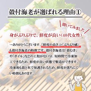 クーポンで最大15,000円OFF 超超特大サ...の詳細画像1