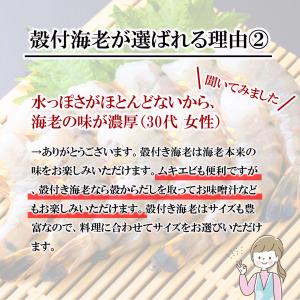 クーポンで最大15,000円OFF 超超特大サ...の詳細画像2