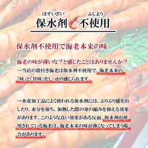 クーポンで最大15,000円OFF 超超特大サ...の詳細画像3