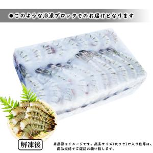 クーポンで最大15,000円OFF 超超特大サ...の詳細画像4
