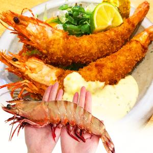 よっちゃん よっちゃん食品工業 すっぱいおつまみ 120g×10袋入