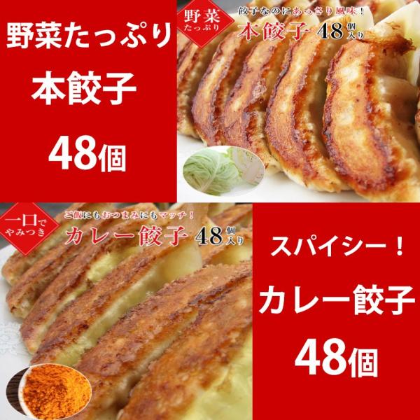 本餃子48個 カレー餃子48個 餃子 ぎょうざ 冷凍餃子 惣菜 点心 お取り寄せ グルメ ご家庭料理...