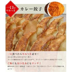 餃子 福袋 4種 詰め合わせ 192個 中華 ...の詳細画像3
