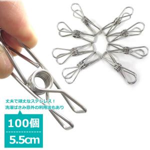 洗濯バサミ ステンレス 100個セット 5.5cm おしゃれ 強力 収納 跡がつかない ハンガー 物干し 洗濯 ピンチ クリップ かわいい 大容量 業務用｜ハンガー専門店くうえんたい