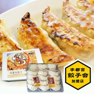 特製肉餃子(1箱36個入) : 宇都宮餃子専門店 悟空 - 通販 - Yahoo