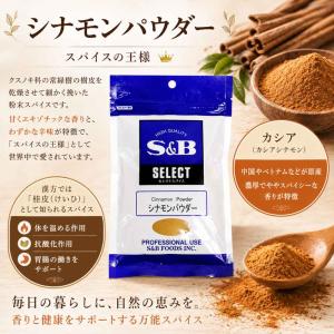 SB セレクト シナモンパウダー (カシア)袋...の詳細画像1