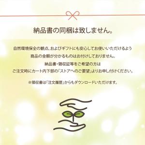 SB セレクト シナモンパウダー (カシア)袋...の詳細画像5