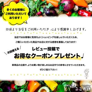 モティア サーレ・インテグラーレ・グロッソ 1...の詳細画像1