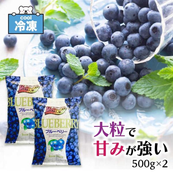 「 冷凍ブルーベリー 」 ノースイ VeryBerry ブルーベリー 業務用 1kg (500g×2...