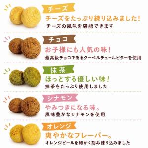 しっとり 豆乳 おから クッキー 250g 1...の詳細画像1