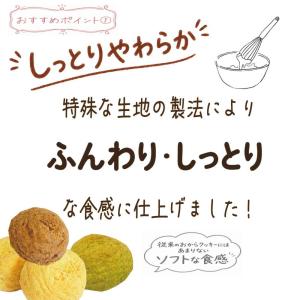 しっとり 豆乳 おから クッキー 250g 1...の詳細画像2