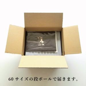お買得の焼肉セット 500g 3〜4人前 牛タ...の詳細画像4