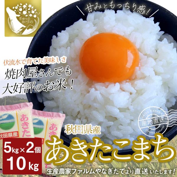 あきたこまち 白米 5kg×2 (10kg) 送料無料 ご贈答 ご自宅用 秋田 鹿角 生産者直送 こ...