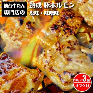 ホルモン豚 焼肉 テッポウ 300g オマケ付 福袋セット ミックス