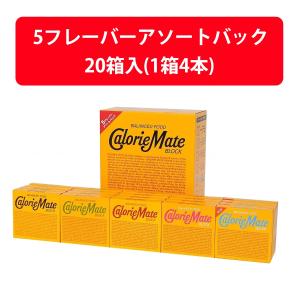 大塚製薬 カロリーメイトブロック チョコレート味 4本入 30個入