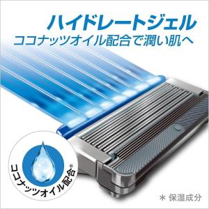 シック Schick ハイドロ5 カスタム ハ...の詳細画像4