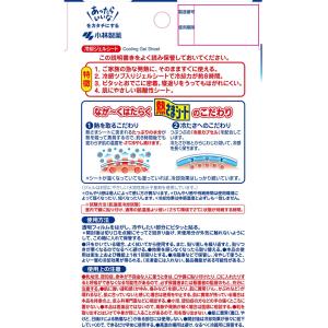 1000円ポッキリ 大人用 小林製薬 熱さまシ...の詳細画像2
