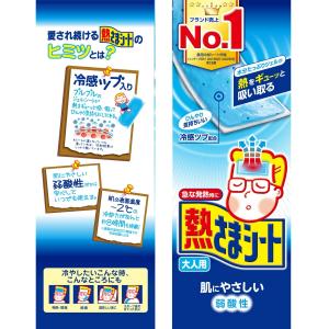 1000円ポッキリ 大人用 小林製薬 熱さまシ...の詳細画像3