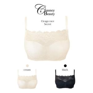 ChasneyBeauty チェスニービューティー シカゴレース シークレット 谷間かくし 小さく見せる ブラジャー 3/4カップブラ 厚手パッド付｜h-blue