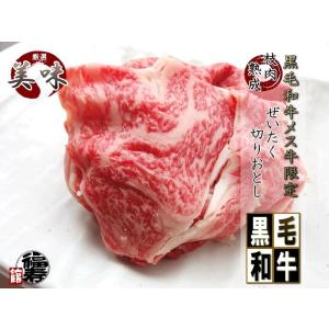 グルメギフト 御祝い 内祝 牛肉 肉 黒毛和牛 メス牛 限定  ぜいたく切り落とし 500g