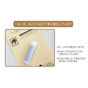 シャチハタ ディズニー ハンコ・ベンリ ワンタ...の詳細画像5