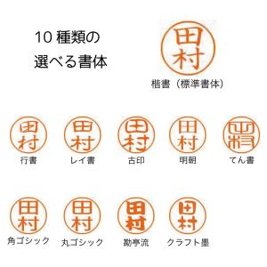 シャチハタ ネーム9 Vivo 名入れ プレゼ...の詳細画像5