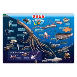テンヨー 深海生物図鑑(学研の図鑑LIVE) MC-80-759 1枚（直送品）｜LOHACO 直送品グループ1
