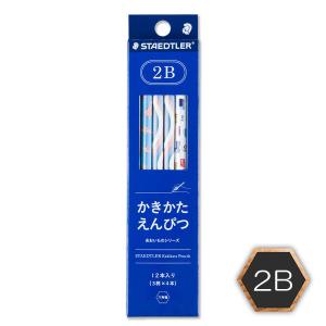 ステッドラー かきかたえんぴつ あおいものシリーズ 12本 ２B 130702BC12 1セット（直送品）｜LOHACO 直送品グループ1