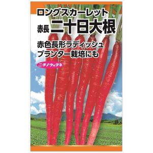 ニチノウのタネ ロングスカーレット （赤長二十日大根） 日本農産種苗 4960599174406 1セット （5袋入）の商品画像