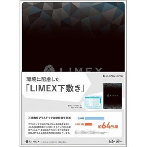 ショウワノート LIMEX 下敷き A柄 B5サイズ 771000002 10枚の商品画像