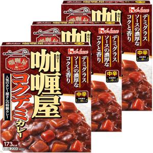 【アウトレット】ハウス食品 カリー屋コクデミカレー 200g 1セット（3食入）