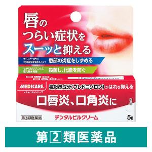 デンタルピルクリーム 5g 森下仁丹　口内炎 口角炎 歯肉炎【指定第2類医薬品】｜LOHACO by ASKUL