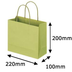 レザートーン手提袋　丸紐　グラスグリーン　M　1袋（10枚入）　スーパーバッグ  オリジナル