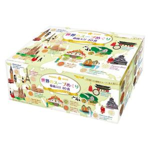 ひかり味噌　世界のスープめぐり＜ヨーロッパ・アジア紀行＞　春雨入り　40食　1箱　インスタント