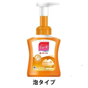 【セール】ミューズ 泡ハンドソープ フルーティフレッシュの香り 本体 250ml 【泡タイプ】