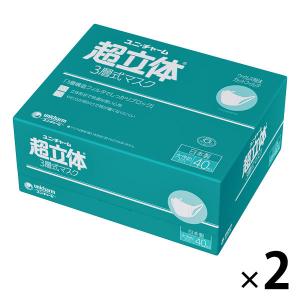 LOHACO - 超立体 3層式 マスク 大きめ 1セット（40枚入×2箱） ユニ