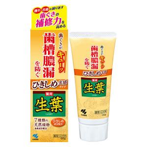 ひきしめ生葉（しょうよう） 歯槽膿漏を防ぐ 薬用ハミガキ ハーブミント味 100g 小林製薬 歯磨き粉