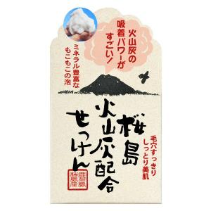 ソフィーナ iP ポア クリアリング ジェル ウォッシュ ( 30g