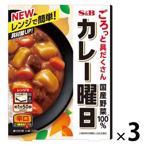 【セール】エスビー食品　カレー曜日　辛口　230g　1セット（3個入）