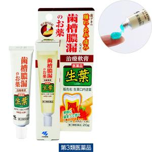 生葉口内塗薬 20g 小林製薬【第3類医薬品】｜LOHACO by アスクル